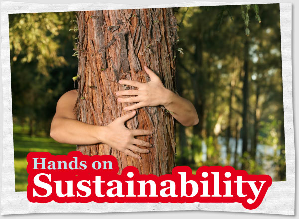 Zur News: Hands-on Sustainability