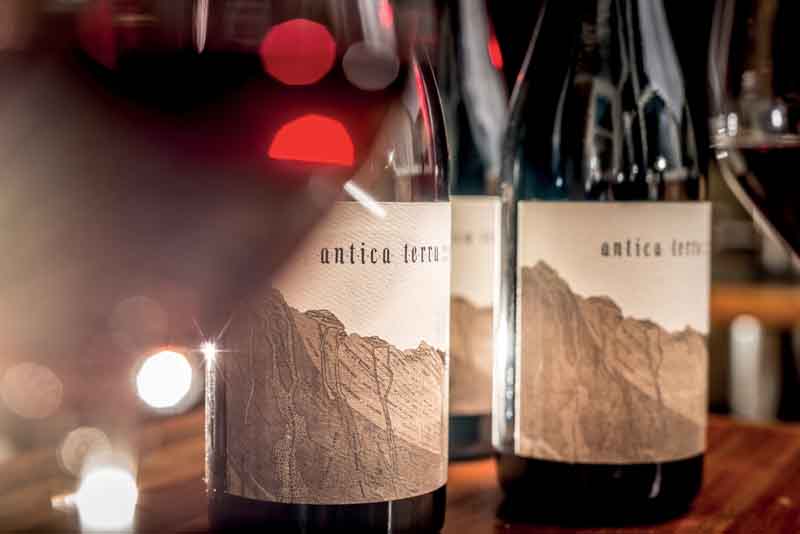 Zur News: Wine & Dine mit Maggie Harrison im Pier 51