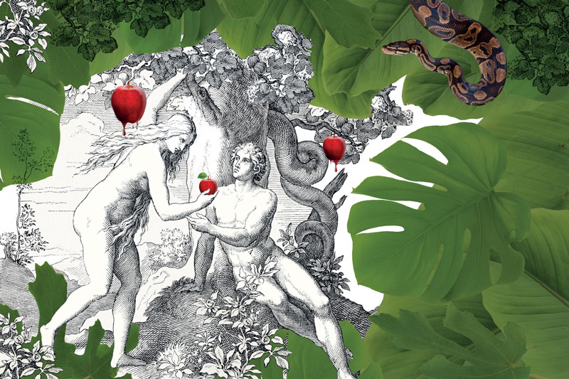 Zur News: Verführung im Garden Eden