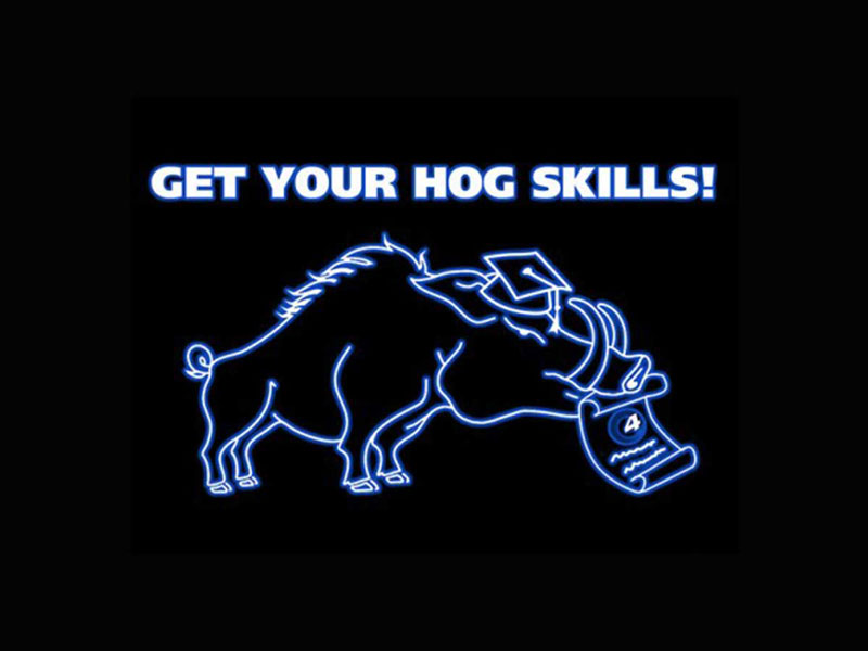Zur News: Letzte Chance in 2017: Get your Hog Skills!