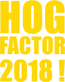 Zur News: Jetzt anmelden zum HOG Factor 2018!