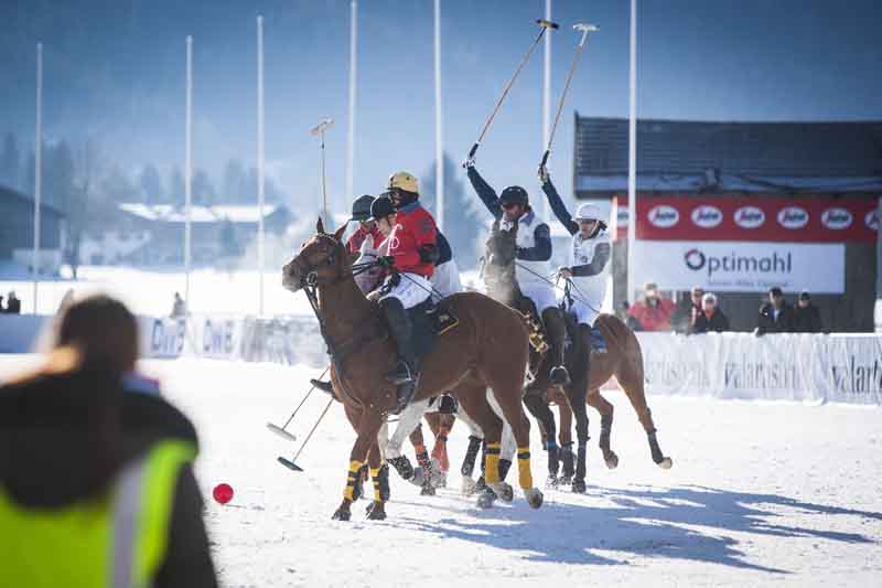 Zur News: Optimahl Catering bekommt Auftrag für Poloturnier