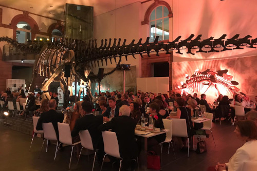 Zur News: VOSS+FISCHER unterstützt die Senckenberg Night