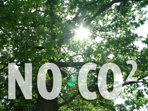 Zur News: ART LIFE klimaneutral mit First Climate