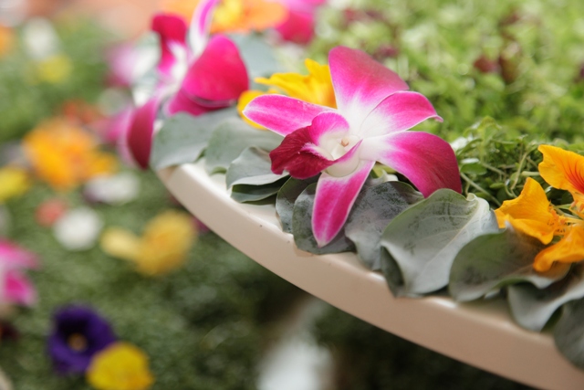 Zur News: So schmeckt der Frühling mit KIRBERG CATERING