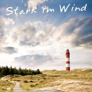 Zur News: VOK DAMS mit Renault auf Sylt „Stark im Wind“