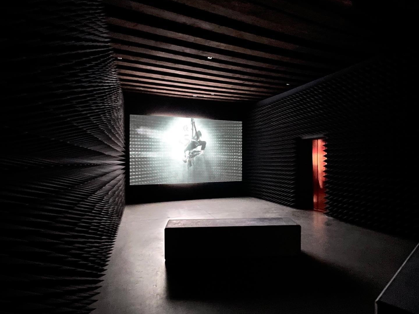 Zur News: AV Stumpfls Fullwhite Leinwand auf der Biennale di Venezia